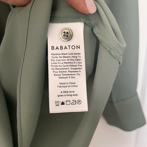 Babaton Blouse - Picture 3 of 3